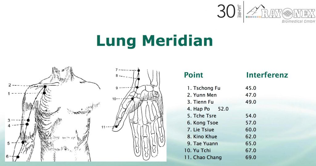 Lung Meridian 肺經